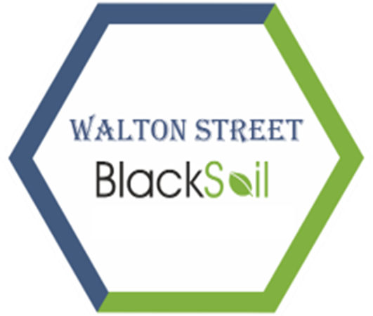 Walton Street Blacksoil Fund Makes Exits from Bollineni Group Projects