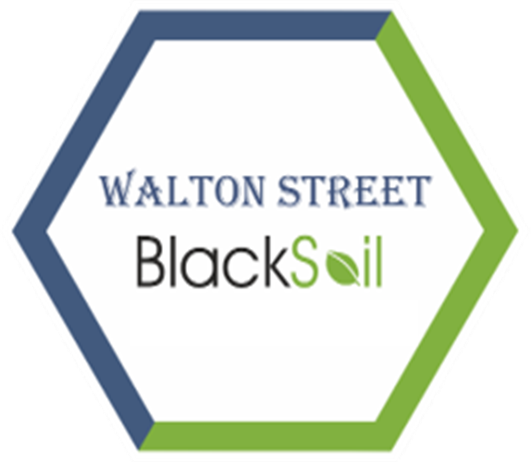 Walton Street Blacksoil Fund Makes Exits from Bollineni Group Projects