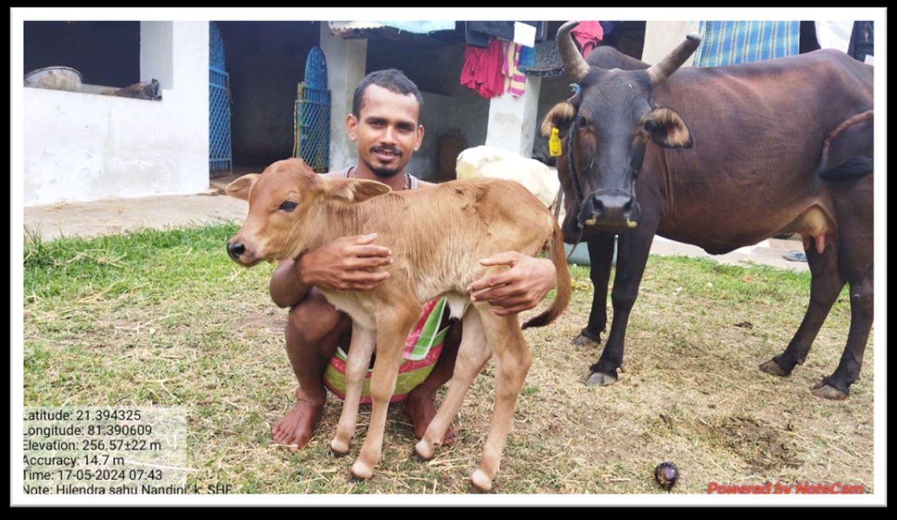 Adani Foundation at ACC Jamul transforms livestock quality and empowers dairy farmers in Chhattisgarh